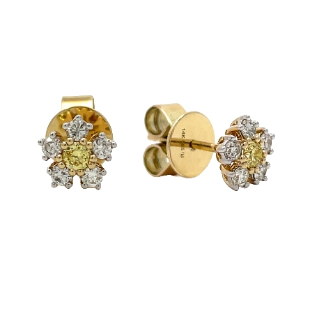 /home/earthtreasures/catalog.shopearthtreasures.com/imagedumplarge/EARTH_A11-06663.jpg 14K Yellow Gold Floral Stud Earrings w/12Diams=...