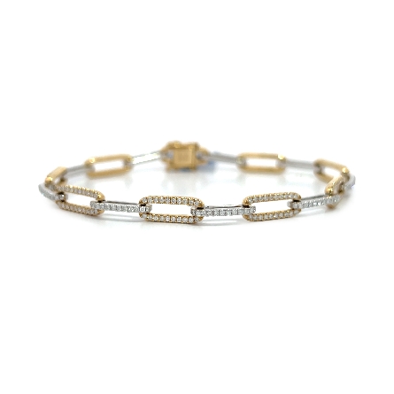 /home/earthtreasures/catalog.shopearthtreasures.com/imagedumplarge/EARTH_A5-200599.jpg 14K Yellow and White Gold 7inch Paperclip Brace...