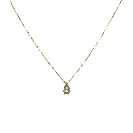 /home/earthtreasures/catalog.shopearthtreasures.com/imagedumplarge/EARTH_A6-04807.jpg 14K Yellow Gold 18inch Bezel Necklace w/1 Step ...
