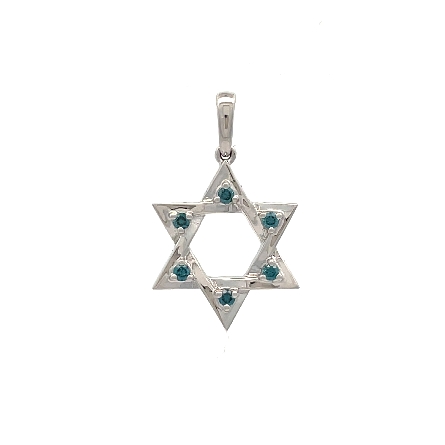 /home/earthtreasures/catalog.shopearthtreasures.com/imagedumplarge/EARTH_A7-201202.jpg 14K White Gold 14mm Star of David Pendant w/6Ir...