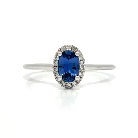 /home/earthtreasures/catalog.shopearthtreasures.com/imagedumplarge/EARTH_J5-01725.jpg 18K White Gold Oval  Halo Ring w/Blue Sapphire=...