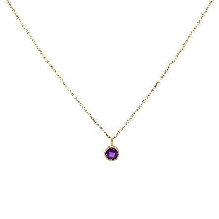 /home/earthtreasures/catalog.shopearthtreasures.com/imagedumplarge/EARTH_K2-00921.jpg 14K Yellow Gold 16-18inch Adjustable Round Amet...