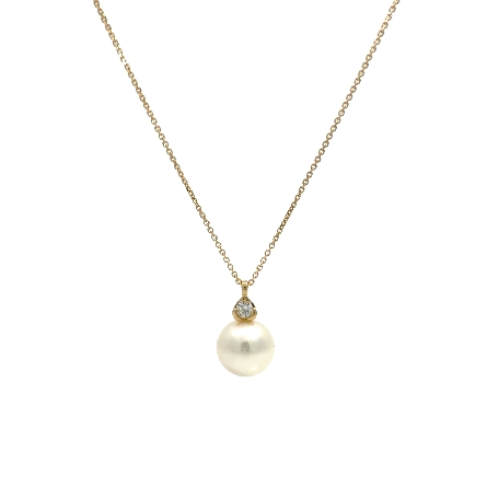 /home/earthtreasures/catalog.shopearthtreasures.com/imagedumplarge/EARTH_K6-00810.jpg 14K Yellow Gold Adjustable 16-18inch Drop Neckl...