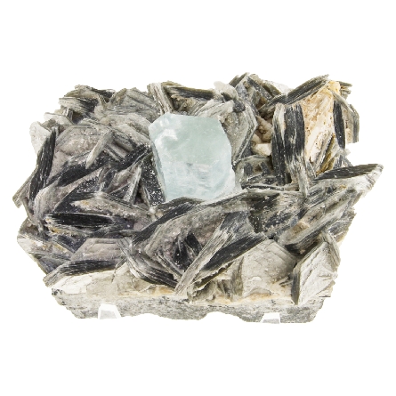 One Fine Aquamarine Crystal Surrounded By Muscovite White-Albite Specimen 3.5W x 2.5H x 2  D