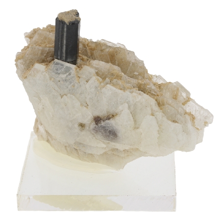 Calcite and Mica With Tourmaline on Stand 2   x...