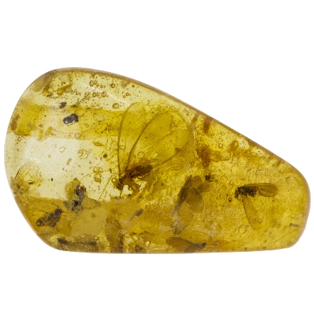 Amber from Columbia 2   x 1.25   x 1/2  