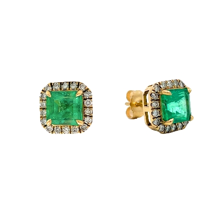 /home/earthtreasures/catalog.shopearthtreasures.com/imagedumplarge/EARTH_O3-00732.jpg 14K Yellow Gold Custom Halo Earrings w/2 Emeral...