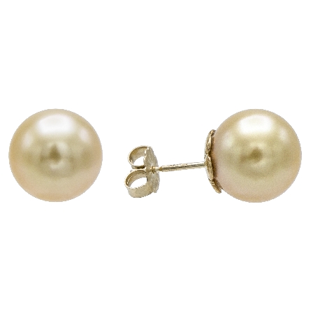 14K Yellow Gold 10mm Golden South Sea Pearl Stud Earrings 