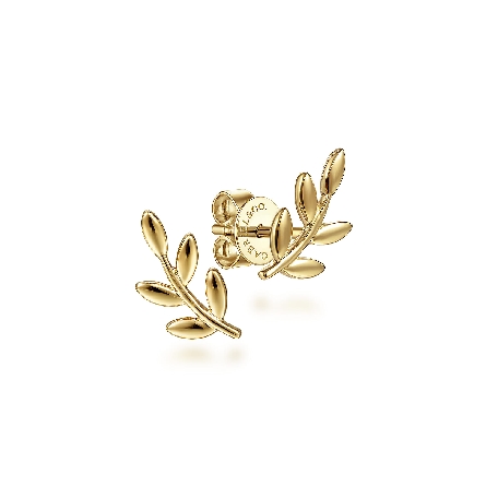 14K Yellow Gold Gabriel Laurel Branch Stud Earr...