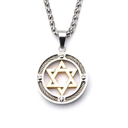 Stainless Steel and Gold Plated Star of David with Cable Inlayed in Circle Pendant on 24inch Chain #SSP18026NK1