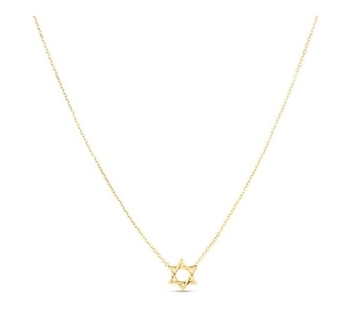 14K Yellow Gold 16-18inch Star of David Necklac...