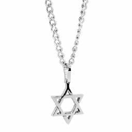 Stainless Steel Jewish Star of David Pendant on...