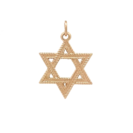 14K Yellow Gold Star of David Pendant 23x18mm #...