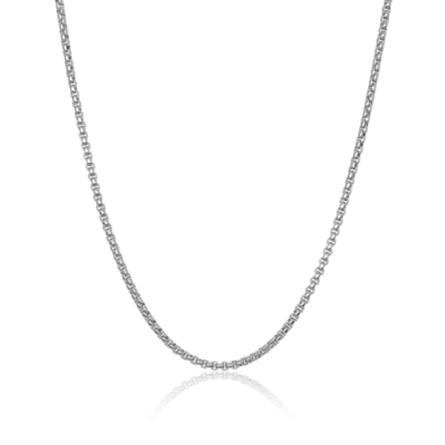 Stainless Steel 22inch 2.5mm Round Box Chain #S...