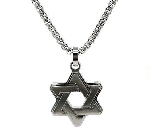 Stainless Steel Brushed Star of David Pendant N...