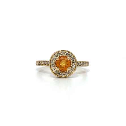 14K Yellow Gold Estate EFFY Yellow Sapphire Hal...