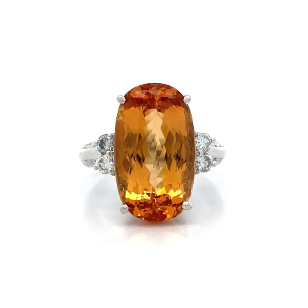 /home/earthtreasures/catalog.shopearthtreasures.com/imagedumplarge/EARTH_U2-16959.jpg Platinum Estate Orange Topaz Elongated Cushion ...