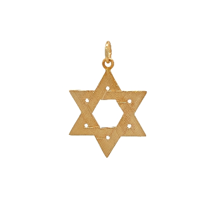 /home/earthtreasures/catalog.shopearthtreasures.com/imagedumplarge/EARTH_U5-17432.jpg 14K Yellow Gold Estate Textured Star of David P...