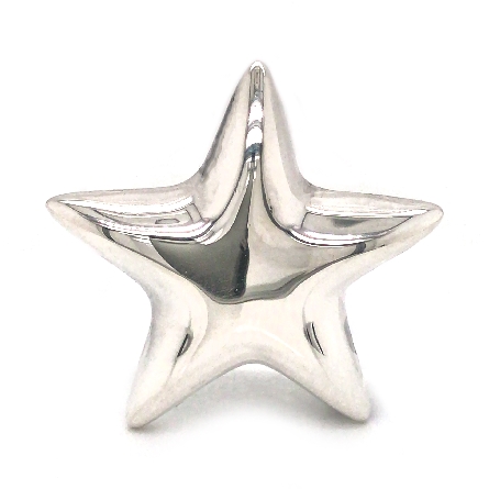 Sterling Silver Estate Tiffany & Company Star Pin 