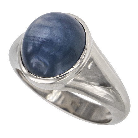 14K White Gold Mens Ring w/Natural Star Sapphire=15.58ct Size 10 