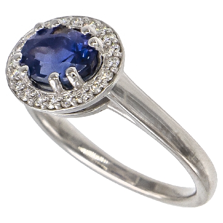 14K White Gold Halo Ring w/8x6mm Oval Sapphire=2.74ct and 20Diams=.14ctw SI H-I Size 7 #71641