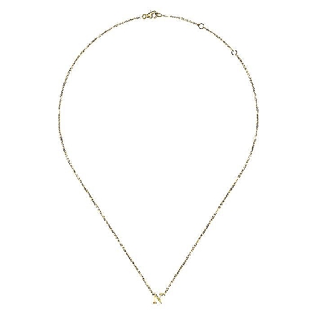 14K Yellow Gold 15.5-17.5inch Adjustable Initial N Necklace #NK6928N-Y4JJJ (S1745557)