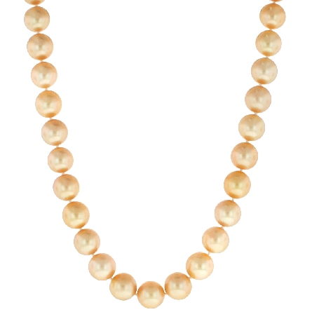 14K Two Tone Gold Clasp on 10-11mm Golden South Sea 17.5inch Necklace #NS-G/MHZZ 