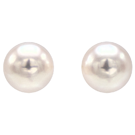 14K Yellow Gold 6-6.5mm Cultured Pearl Stud Earrings #PE600AA