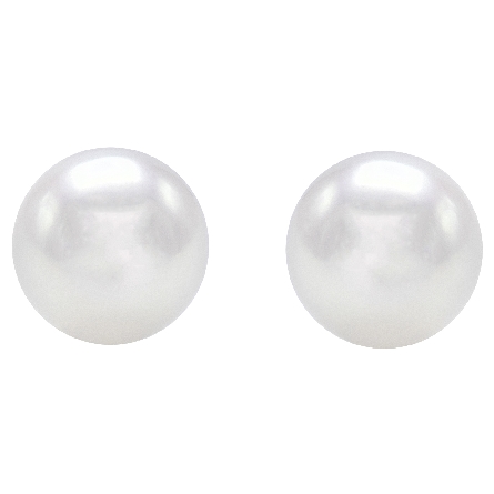 14K White Gold 8-8.5mm Cultured Pearl Stud Earrings #PE800W/AA