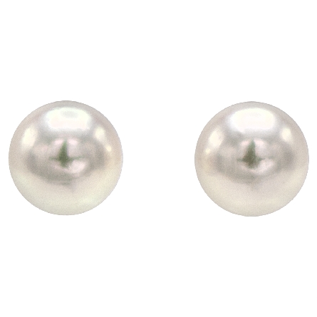 14K White Gold 7-7.5mm Akoya Pearl Stud Earrings #PE700W/AA