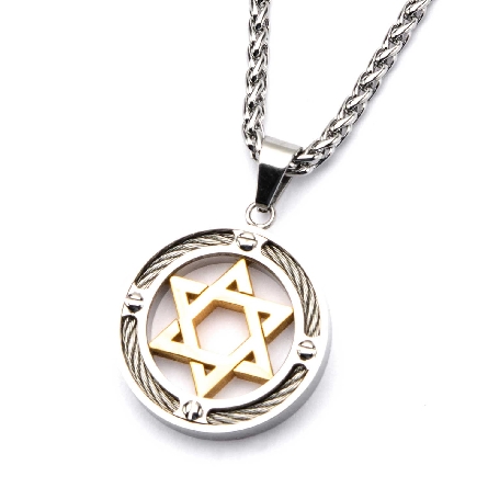 Stainless Steel and Gold Plated Star of David with Cable Inlayed in Circle Pendant on 24inch Chain #SSP18026NK1