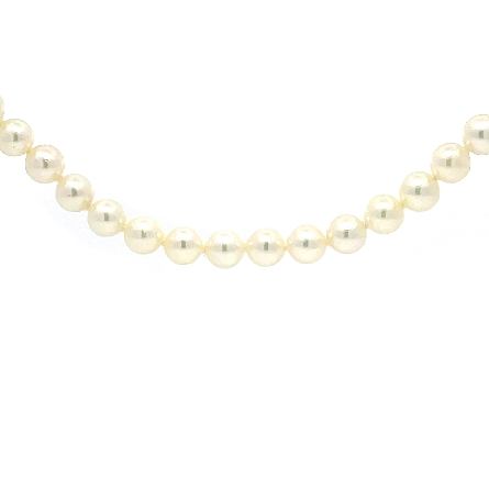 18K Yellow Gold Estate 5-5.50mm Mikimoto Akoya Cultured Pearl 22inch Necklace 14.2dwt