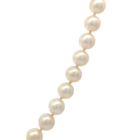 14K Yellow Gold Estate 18inch Cultured Akoya 7-7.5inch Pearl Necklace 20.0dwt