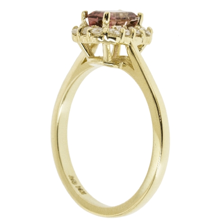 14K Yellow Gold Rectangle Ring w/6x4mm Emerald-Cut Bi-Color Tourmaline=.67ct and 14Diams=.27ct Size 7 #25962L