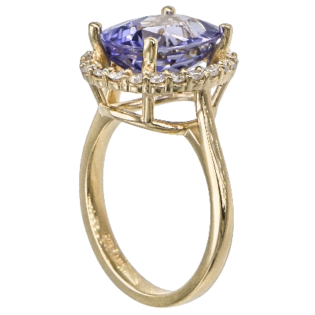 14K Yellow Gold Estate Oval Halo Ring w/Tanzanite=6.23ct and 22Diams=.37ctw SI2-I1 H-I Size 7