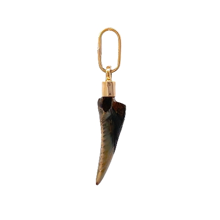 14K Yellow Gold Estate Shark Tooth Pendant 2.1dwt 
