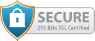 SSL Badge